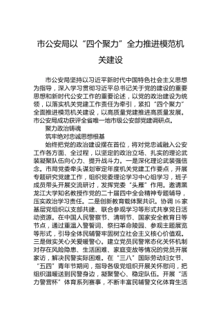 市公安局以“四个聚力”全力推进模范机关建设