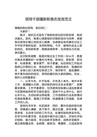 领导干部履新职表态发言范文