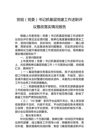 党组（党委）书记抓基层党建工作述职评议整改落实情况报告