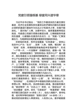 党建引领强根基绿富同兴谱华章