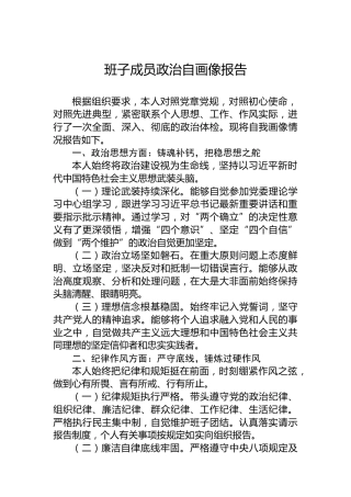 班子成员政治自画像报告