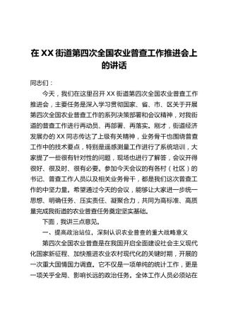 在XX街道第四次全国农业普查工作推进会上的讲话