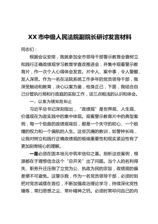 XX市中级人民法院副院长研讨发言材料