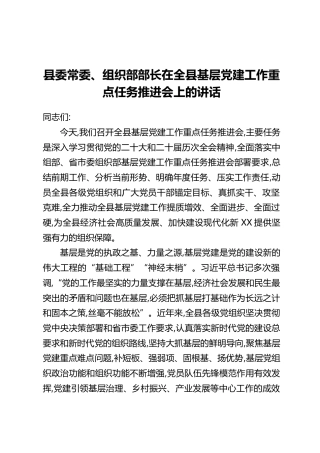 县委常委、组织部部长在全县基层党建工作重点任务推进会上的讲话