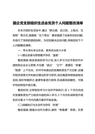 国企党支部组织生活会党员个人问题整改清单_1