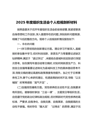 2025年度组织生活会个人检视剖析材料