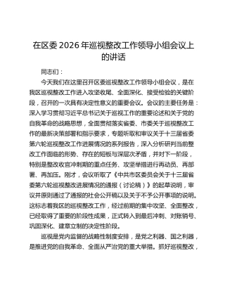 在区委2026年巡视整改工作领导小组会议上的讲话