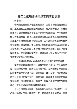 县区文旅局违法违纪案例廉政党课