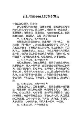 在任职宣布会上的表态发言