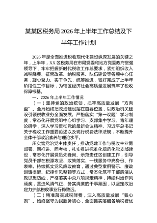 某某区税务局2026年上半年工作总结及下半年工作计划