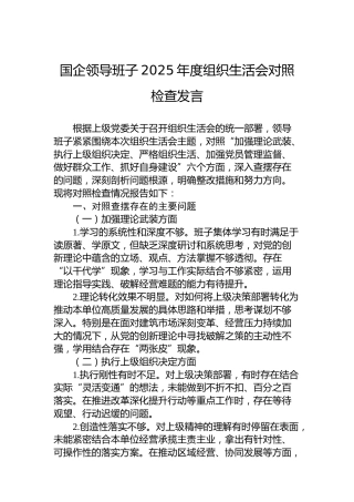 国企领导班子2025年度组织生活会对照检查发言