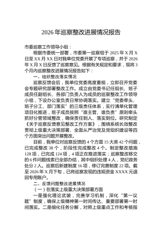 2026年巡察整改进展情况报告