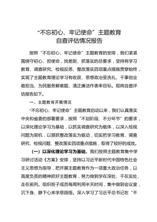 主题教育自查评估情况报告两篇