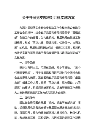 开展党支部结对共建实施方案
