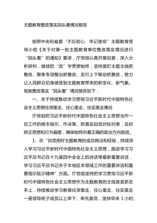 主题教育整改落实回头看情况报告2篇