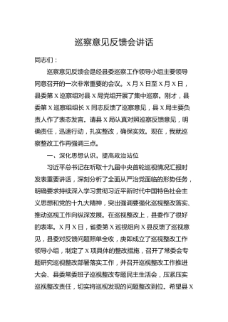 巡察意见反馈会讲话