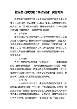 党组书记抓党建“突破项目”实施方案