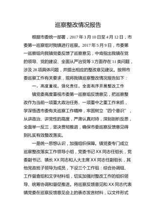 巡察整改情况报告9000字3方面28个问题