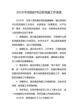 2019年党组织书记抓党建工作承诺