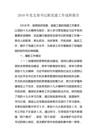 2018党支部书记抓党建工作述职报告