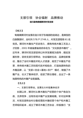 支部引领  协会辐射  品牌推动