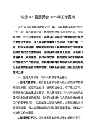 政协2020年工作要点