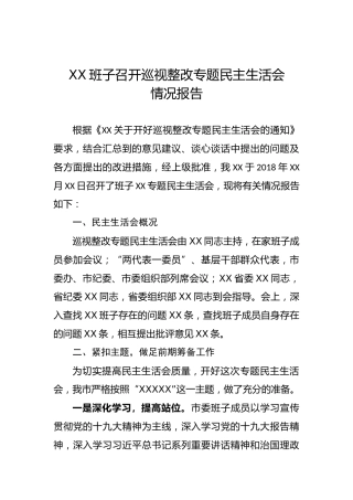 召开巡视整改专题民主生活会情况报告