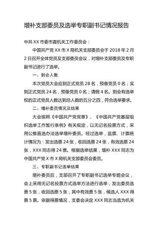 增补支部委员及选举专职副书记情况报告