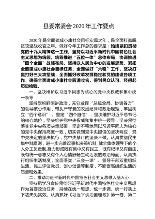 县委常委会2020年工作要点（4500字）