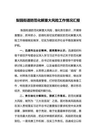 梨园街道防范化解重大风险工作情况汇报