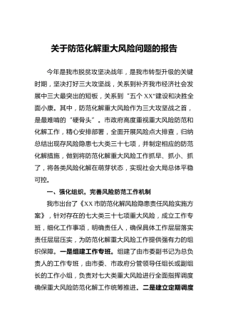 关于防范化解重大风险问题的报告