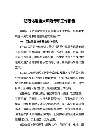 防范化解重大风险专项工作报告