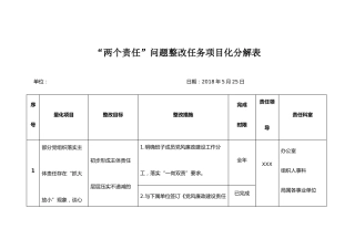 “两个责任”问题整改任务项目化分解表