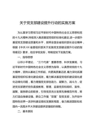 党支部建设提升行动的实施方案（学校版5700字）