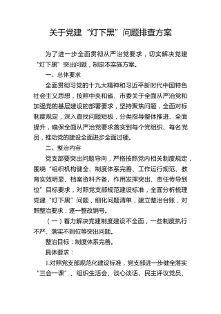 党建“灯下黑”问题排查方案
