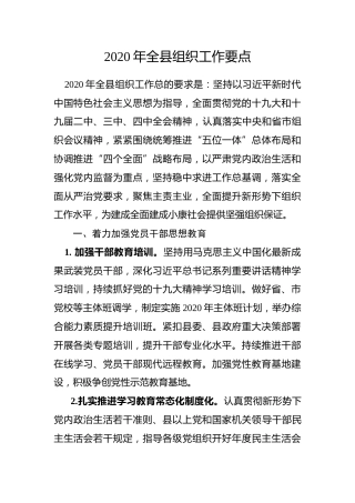 2020全县组织工作要点