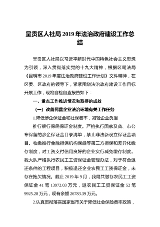 2019年法治政府建设工作总结（人社）