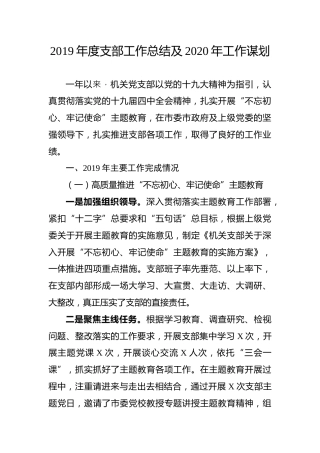 2019年度支部工作总结及2020年工作计划（2800字）