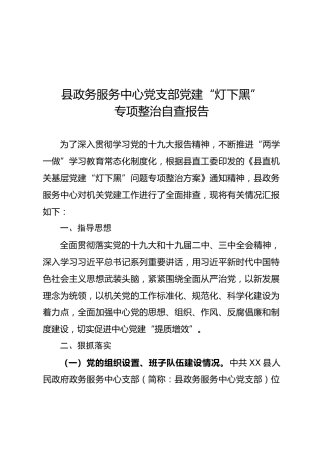 “灯下黑”专项整治自查报告