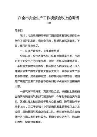 王刚：在全市安全生产工作视频会议上的讲话