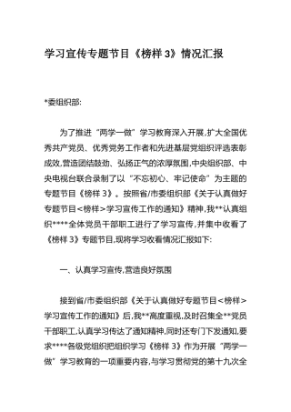 榜样3专题情况汇报