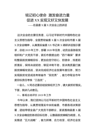 在县委全会上的讲话（1万字）