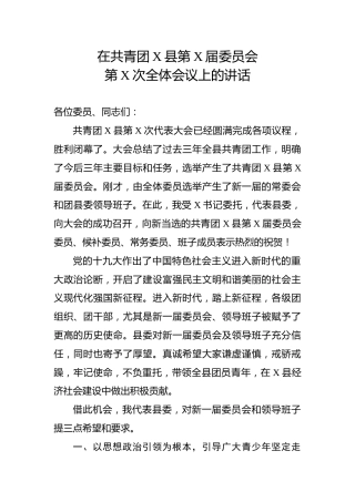在共青团全体会议上的讲话