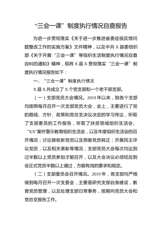 三会一课执行情况自查报告