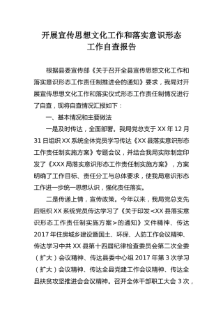 XX局开展宣传思想文化工作和落实意识形态工作自查报告