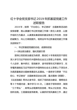 红十字会党支部书记2019年抓基层党建工作述职报告