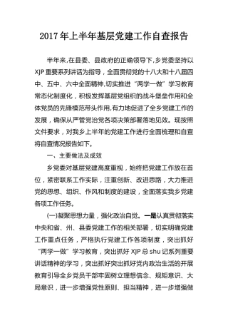 2017年上半年基层党建工作自查报告