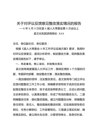 关于对评议反馈意见整改落实情况的报告（5400字文旅）