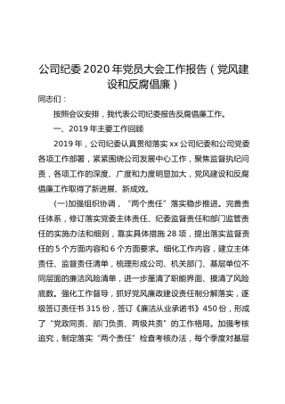公司纪委2020年党员大会工作报告（党风建设和反腐倡廉）