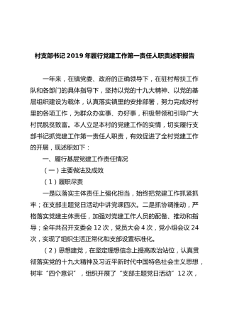 村支部书记2019年履行党建工作第一责任人职责述职报告